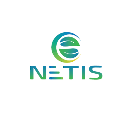 Logo NETIS