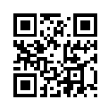 Promotion Flash